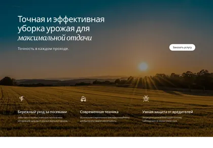 Превью Arceage Services