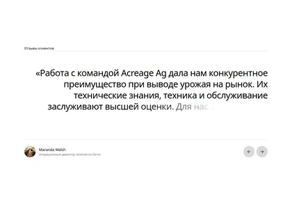 Превью Arceage Testimonial