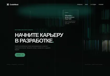 Превью Codenest Coding Platform