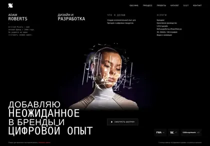 Превью Digital Director