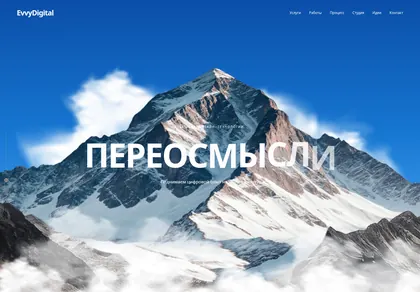 Превью Evvydigital