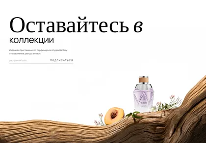 Превью Editorial Collection CTA