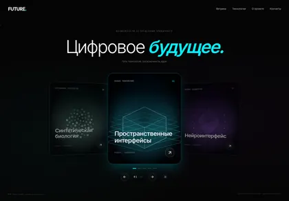 Превью Future Carousel