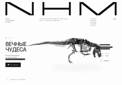 Превью Neo Museum