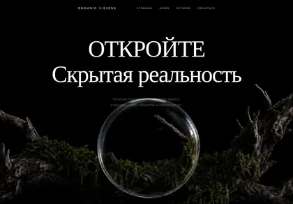 Превью Organic Odyssey