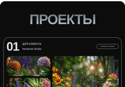 Превью Projects Catalog